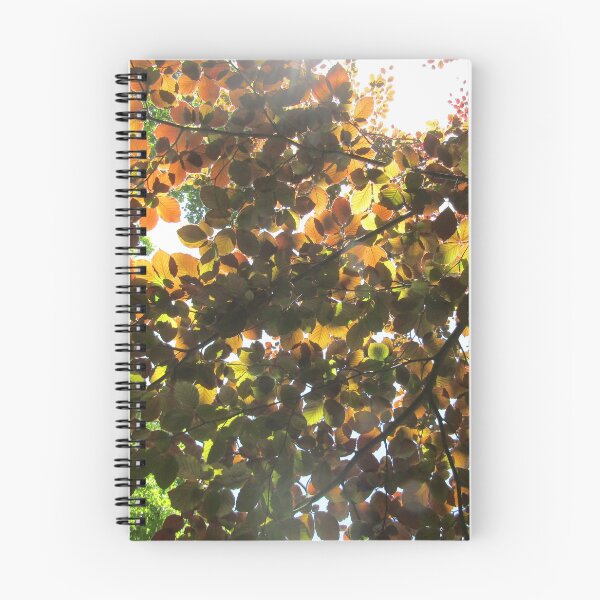 Item preview, Copper beech. designed and sold by joshuarainbird.