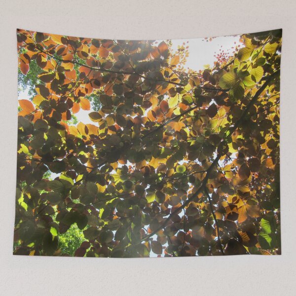 Item preview, Copper beech. designed and sold by joshuarainbird.