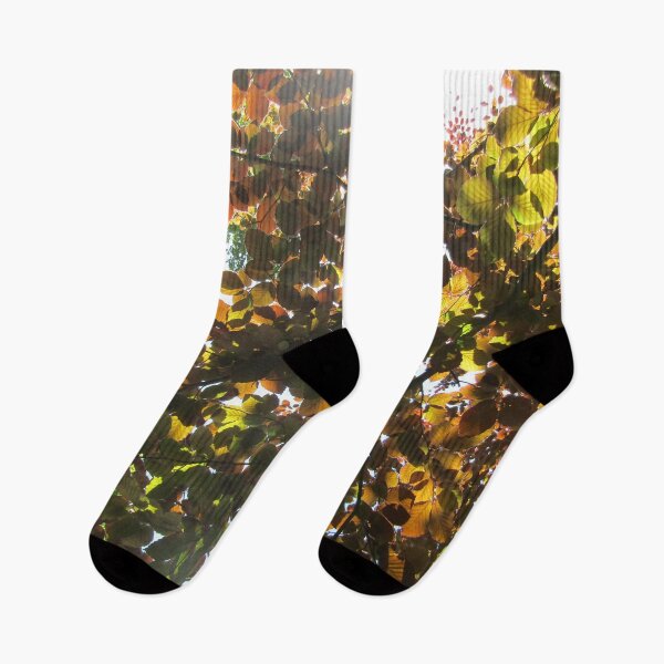 Item preview, Copper beech. designed and sold by joshuarainbird.