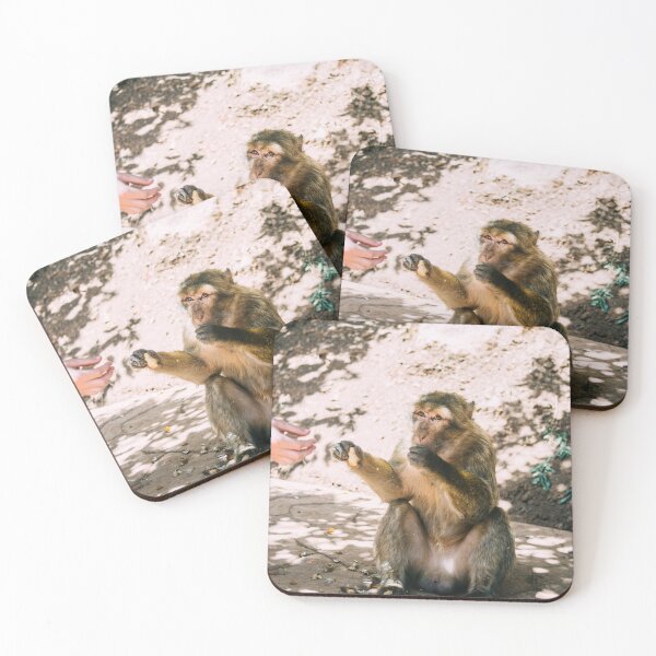 Item preview, Barbary Macaque Eating Peanuts designed and sold by ppolecho.