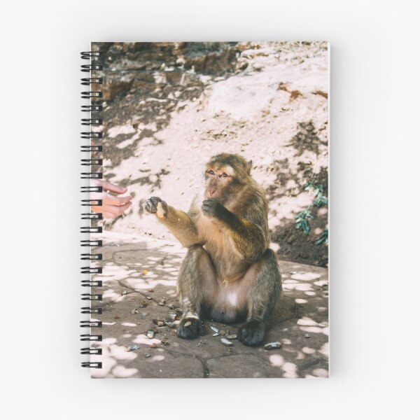 Item preview, Barbary Macaque Eating Peanuts designed and sold by ppolecho.