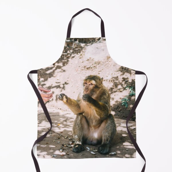 Item preview, Barbary Macaque Eating Peanuts designed and sold by ppolecho.