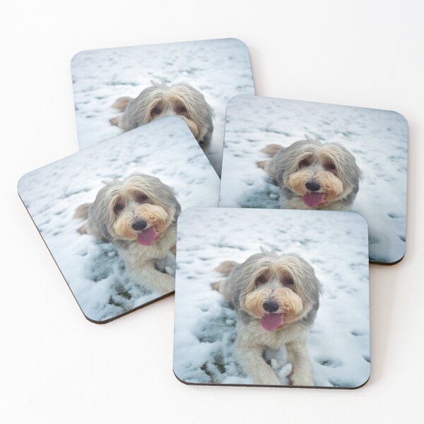Item preview, Happy New Year From Bailey designed and sold by Paul Thompson Photography.