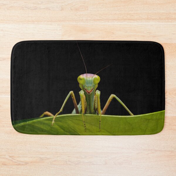 Aperçu de l'œuvre Mantis vert créée et vendue par FXST.