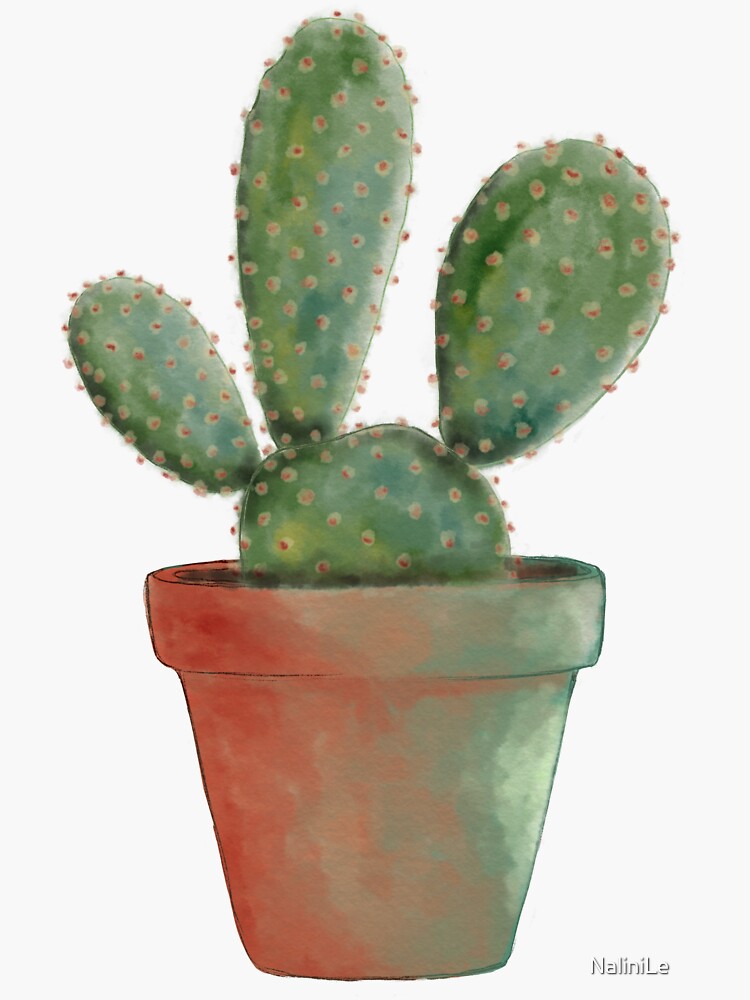 Cactus Sabres plant watercolor illustration by NaliniLe