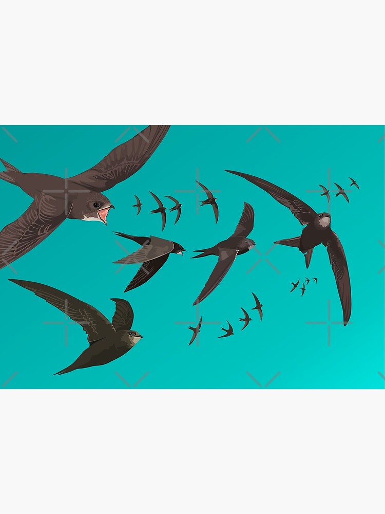 Swifts Mask - Birdwatching Wildlife by LucyLapwing