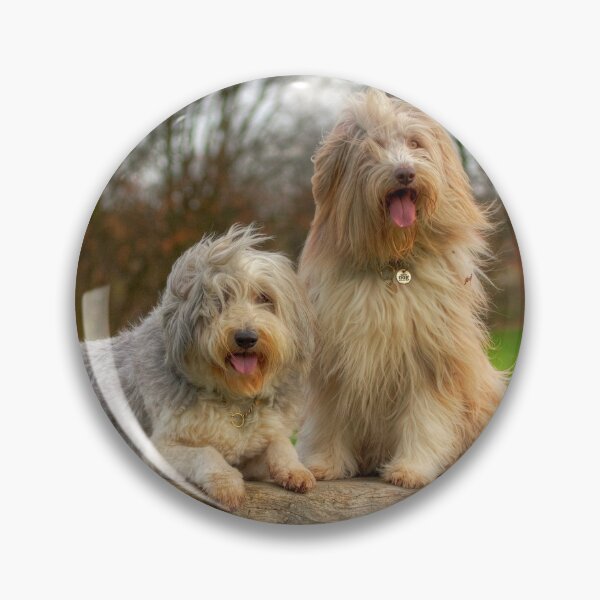 Item preview, Collies barbudos de Bailey y Skye designed and sold by Paul Thompson Photography.