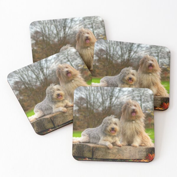 Item preview, Collies barbudos de Bailey y Skye designed and sold by Paul Thompson Photography.