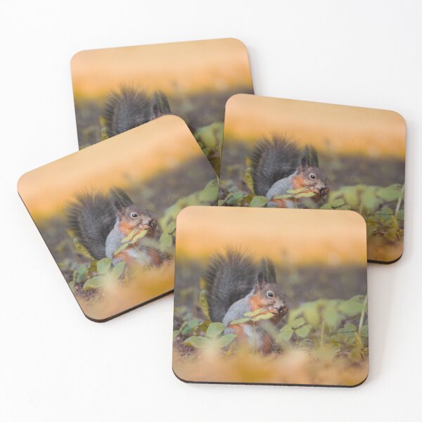 Item preview, Squirrel with shallow depth green and orange background designed and sold by macroviewpoint.