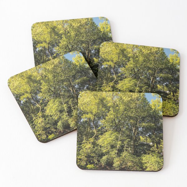 Item preview, Summer woodlands in Clive, USA designed and sold by Joel Bader.