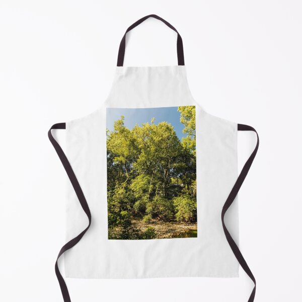 Item preview, Summer woodlands in Clive, USA designed and sold by Joel Bader.