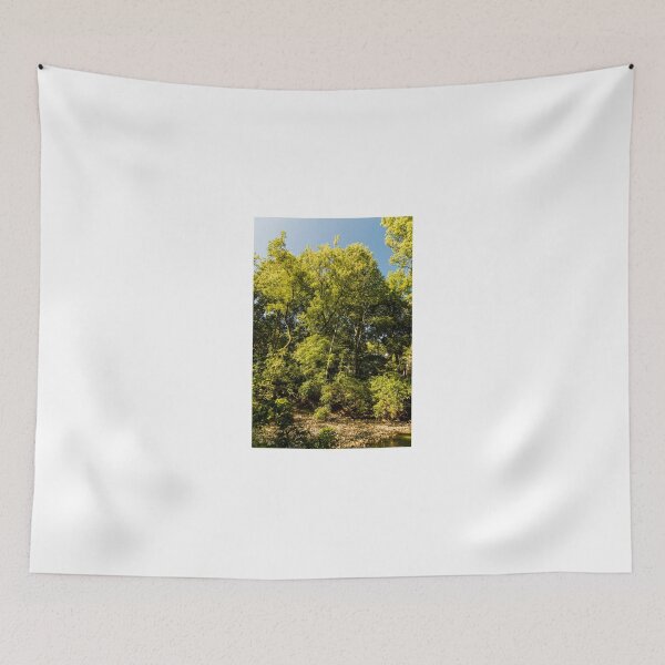 Item preview, Summer woodlands in Clive, USA designed and sold by Joel Bader.
