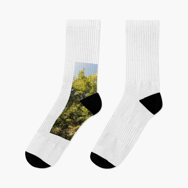 Item preview, Summer woodlands in Clive, USA designed and sold by Joel Bader.