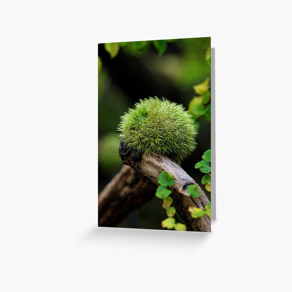 Item preview, Clumpit designed and sold by Robert Mullner.