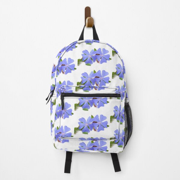 Item preview, Ceratostigma plumbaginoides   AGM  Hardy blue-flowered leadwort   designed and sold by Chris Burrows.