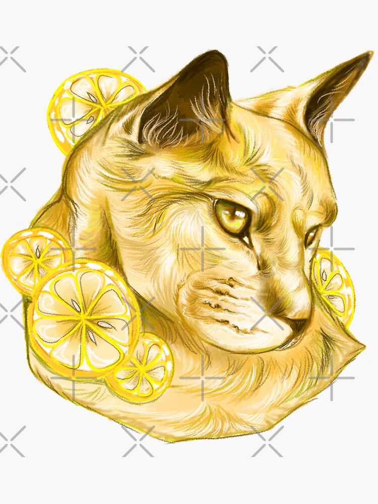 "Lemon Cat Pastel" Sticker by Ahaisga Redbubble