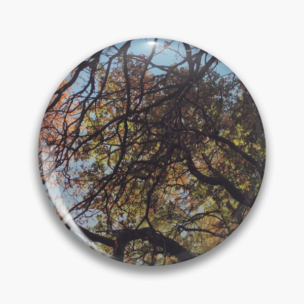 Item preview, Autumn trees designed and sold by Asrais.