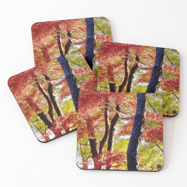Item preview, Autumn Colours 10 designed and sold by WaterGardens.
