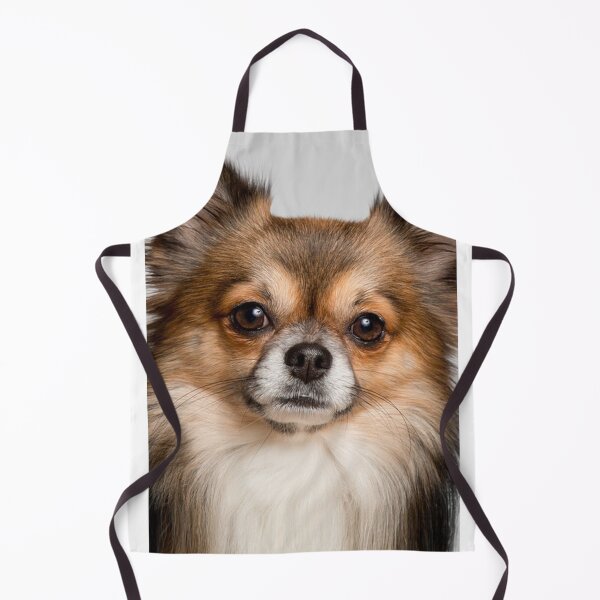 Item preview, Cute Dog / Chihuahua @ crazydodo designed and sold by crazydodo.