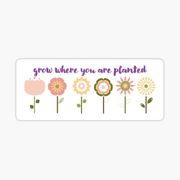 Sprout Where You/'re Planted Sticker