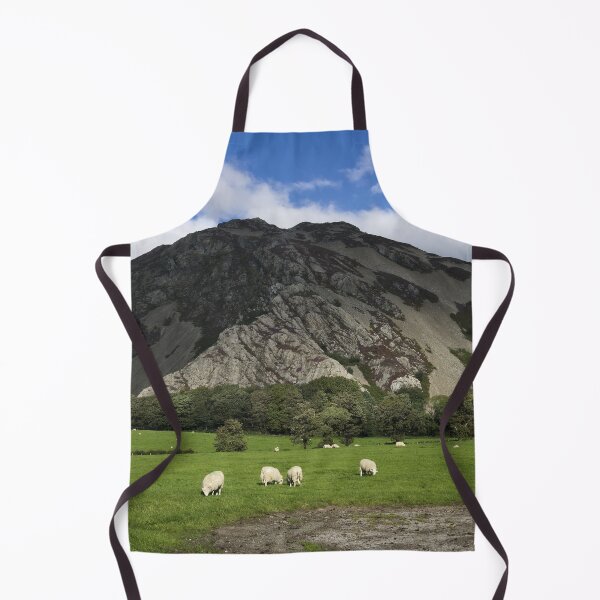 Item preview, Foel Lûs designed and sold by rawshutterbug.