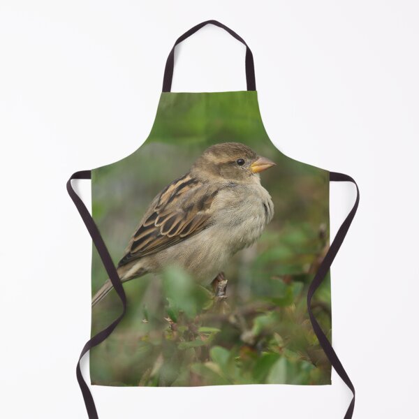 Item preview, Hedge Sparrow designed and sold by rawshutterbug.
