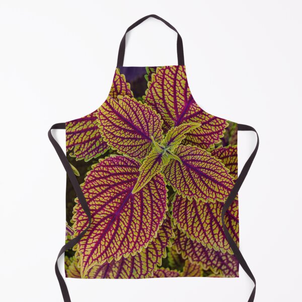Item preview, Colourful urtica leaves designed and sold by agrebila.