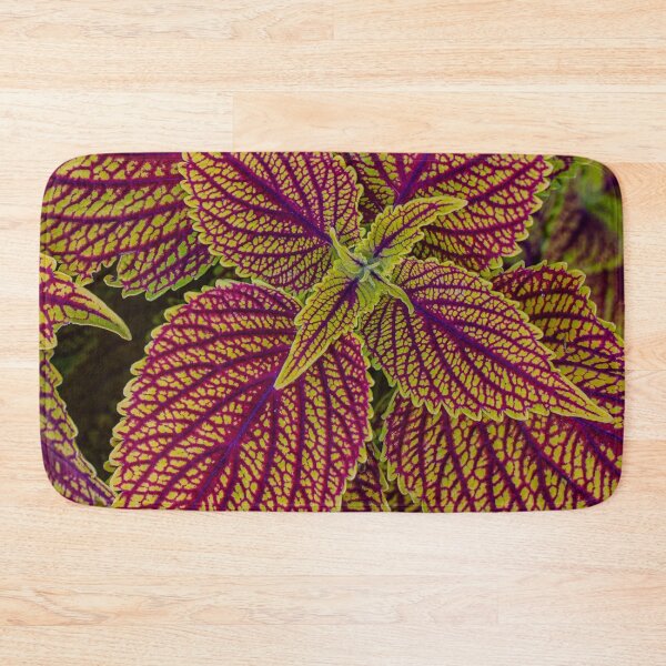 Item preview, Colourful urtica leaves designed and sold by agrebila.
