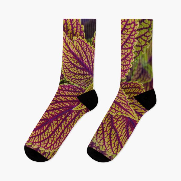 Item preview, Colourful urtica leaves designed and sold by agrebila.