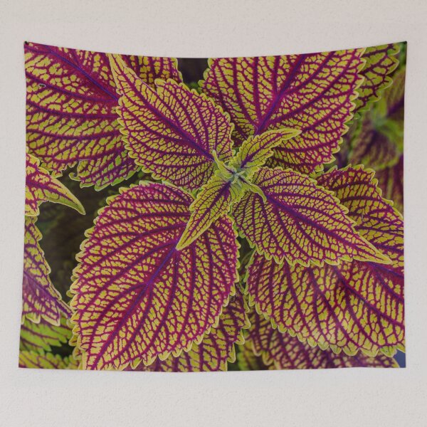 Item preview, Colourful urtica leaves designed and sold by agrebila.