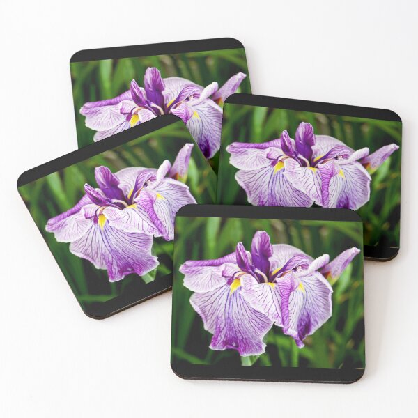 Item preview, Exotica designed and sold by WaterGardens.
