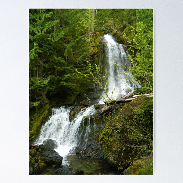 Item preview, Falls Creek Falls designed and sold by Kirsten Ellingford.