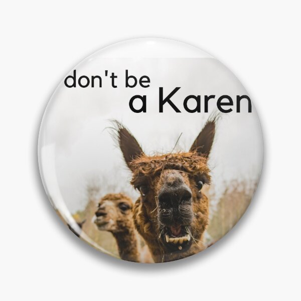 Item preview, don't be a KAREN designed and sold by paul-z-pod.