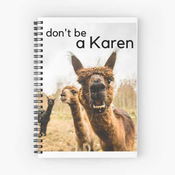 Item preview, don't be a KAREN designed and sold by paul-z-pod.