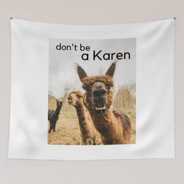 Item preview, don't be a KAREN designed and sold by paul-z-pod.