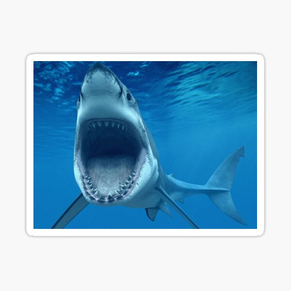 Item preview, Megalodon designed and sold by arkhipoff.