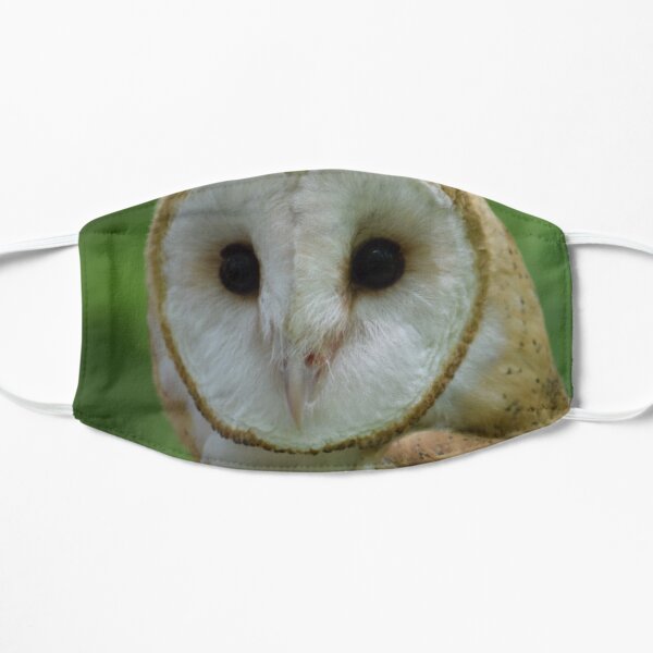 Barn Owl Flat Mask