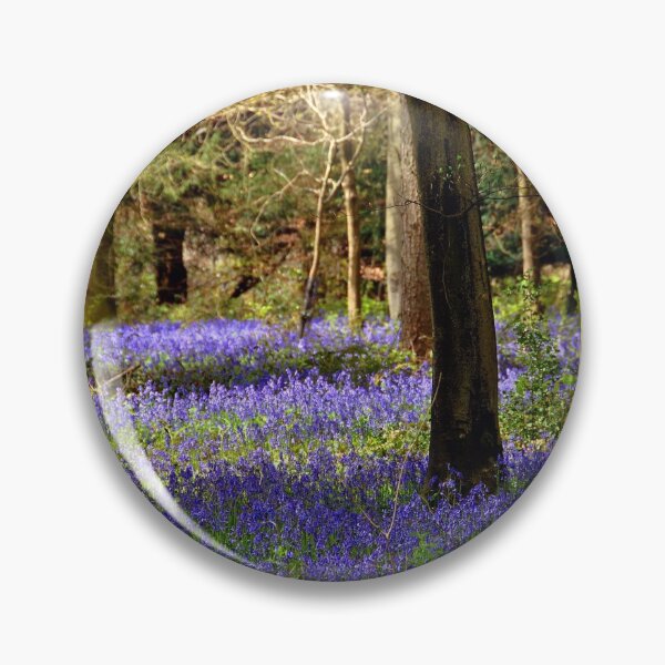 Item preview, Bluebells Bluebell Woods Basildon Park Berkshire designed and sold by AndyEvansPhotos.