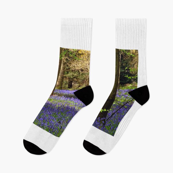 Item preview, Bluebells Bluebell Woods Basildon Park Berkshire designed and sold by AndyEvansPhotos.