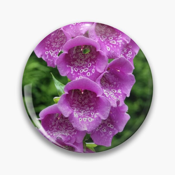 Item preview, Digitalis purpurea (Common Foxglove) designed and sold by Andy Harker.