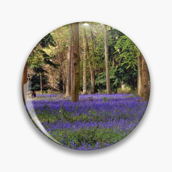 Item preview, Bluebells Bluebell Woods Basildon Park Berkshire designed and sold by AndyEvansPhotos.