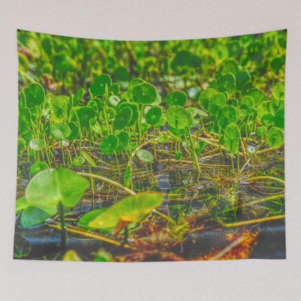 Item preview, Water lilies designed and sold by Moritz Schwäble.