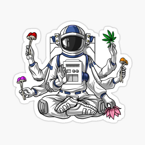  beihaasnatuerlich® 13-Piece NASA Sticker Set, Space Stickers,  Kids Stickers, Laptop Stickers, Bike Stickers, Car Stickers, Desk Stickers,  Astronaut Stickers : Todo lo demás