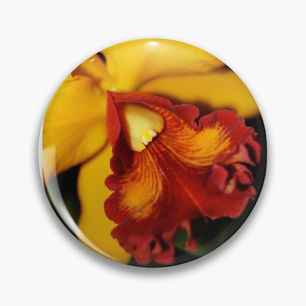 Artikelvorschau, Soft-Focus Orchid entworfen und verkauft von WaterGardens.