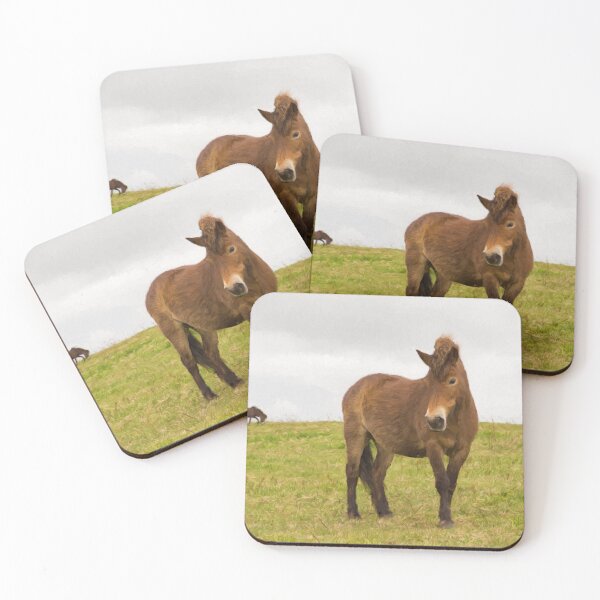 Item preview, Exmoor Pony Quantock Hills Somerset England designed and sold by acceleratorhams.