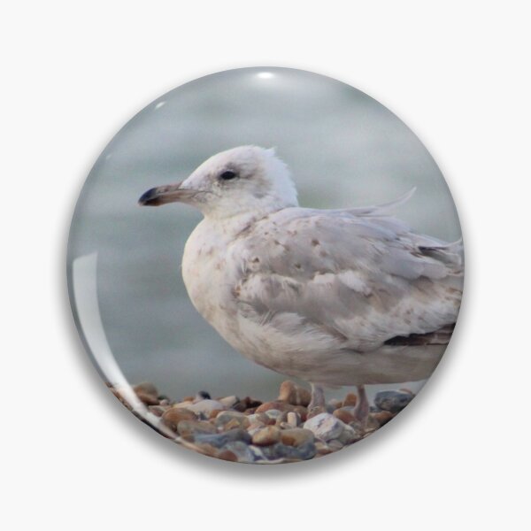 Item preview, Seagull on stony beach designed and sold by chihuahuashower.