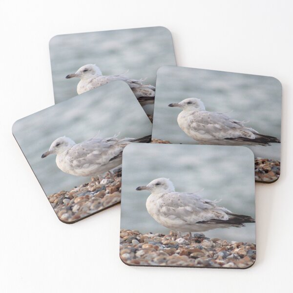 Item preview, Seagull on stony beach designed and sold by chihuahuashower.