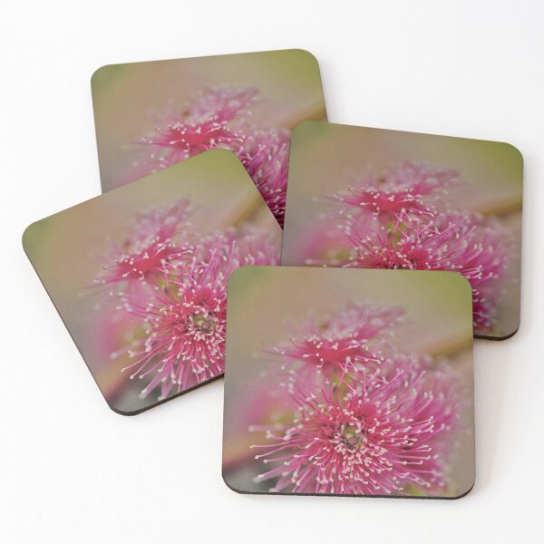 Item preview, Beautifully Pink - Flower of the Gum Tree designed and sold by imaginethis.