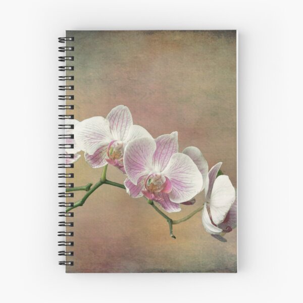 Item preview, Spray of Orchids designed and sold by Lynn Bolt.