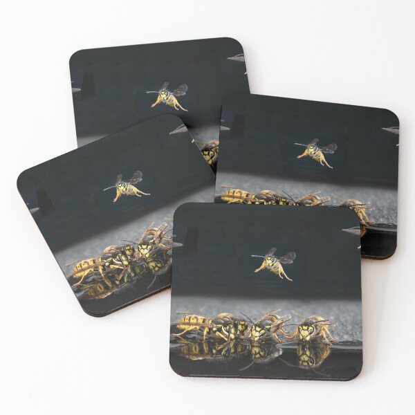 Item preview, wasps drinking and flying designed and sold by alan tunnicliffe.